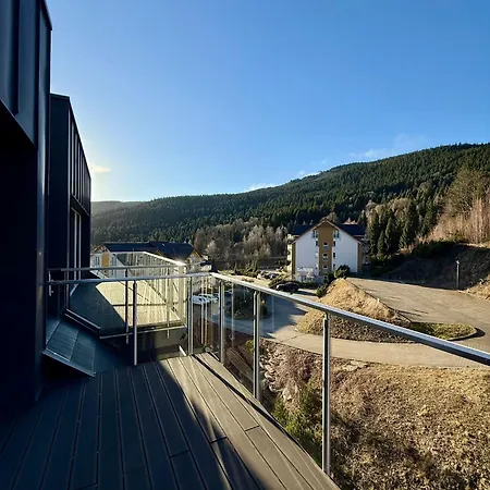 Apartmán Czarna Gora 420 3*