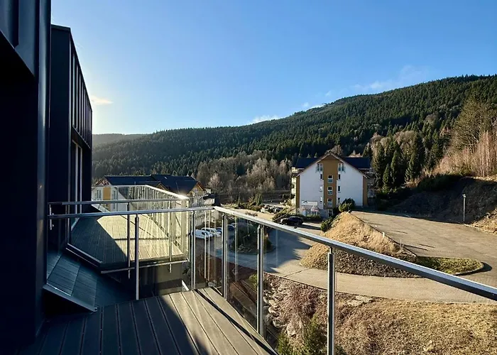 Appartement Czarna Gora 420 3*